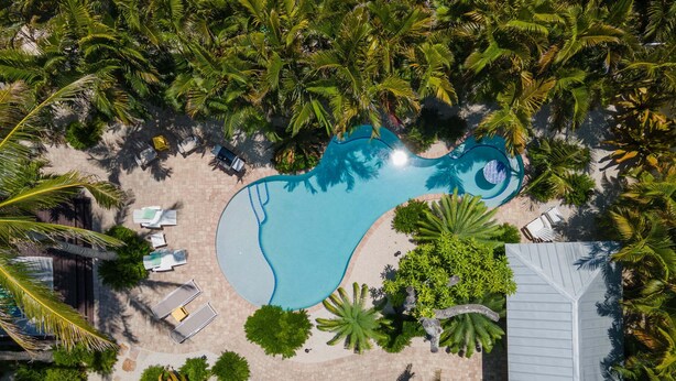 Vista aérea de un resort con una gran piscina rodeada de palmeras y sillones de descanso.