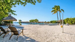 On the beach - Island Time | Ocean Pointe 1207 | Oceanfront 2BR Condo in Key Largo (Tavernier)