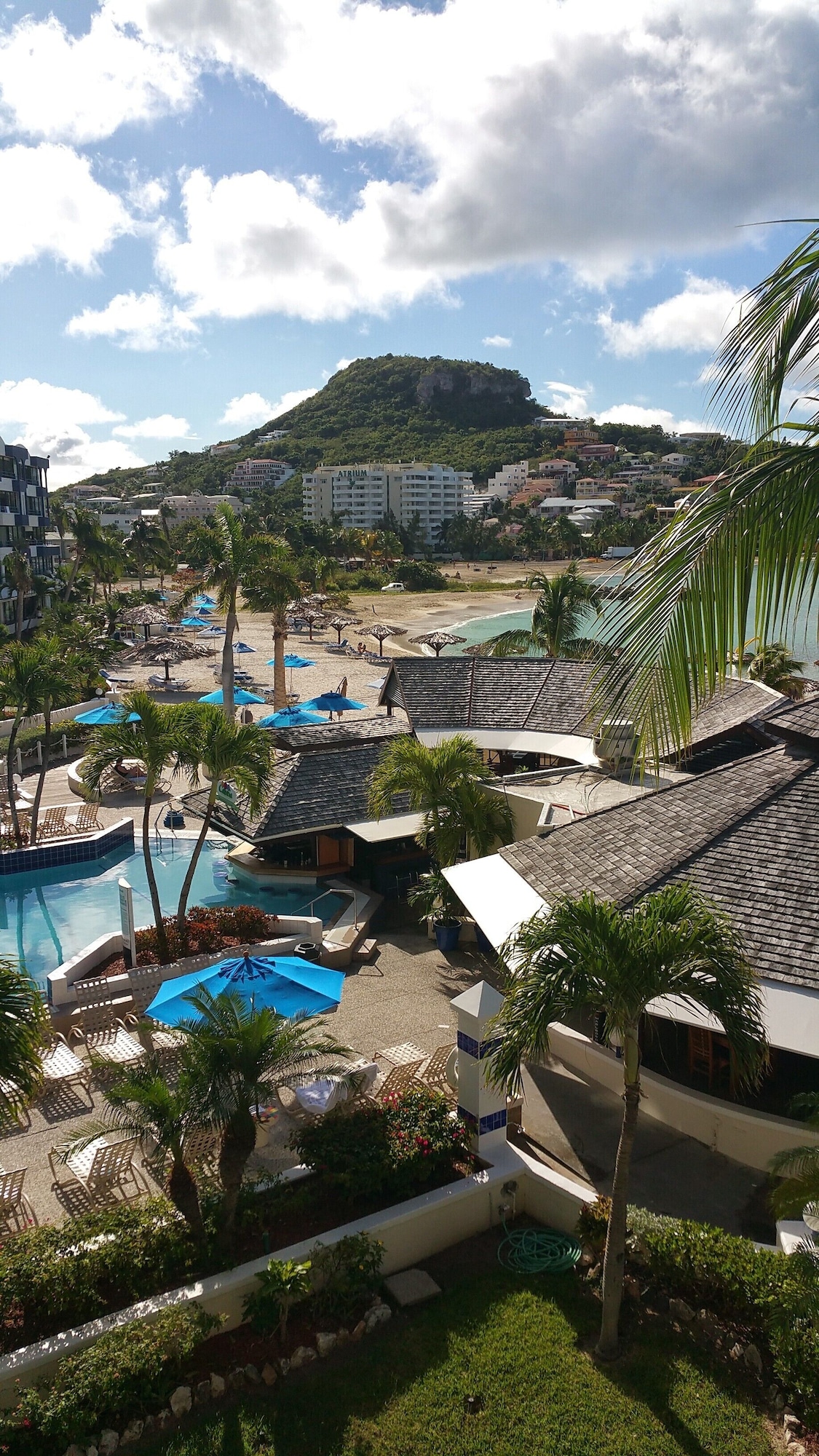 オーナーのプロフィール画像