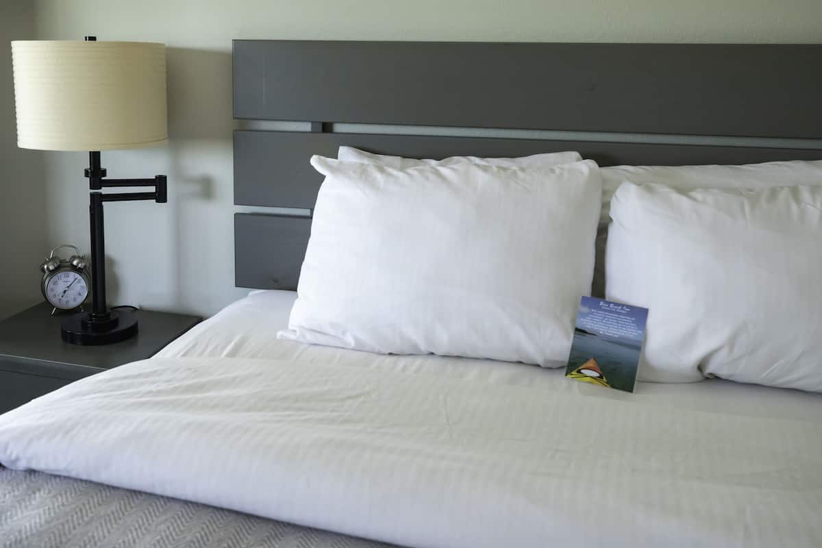 Estúdio standard, 1 cama Queen, geladeira e micro-ondas, vista para o lago | Camas com colchões pillow-top, quartos à prova de som, Wi-Fi de cortesia