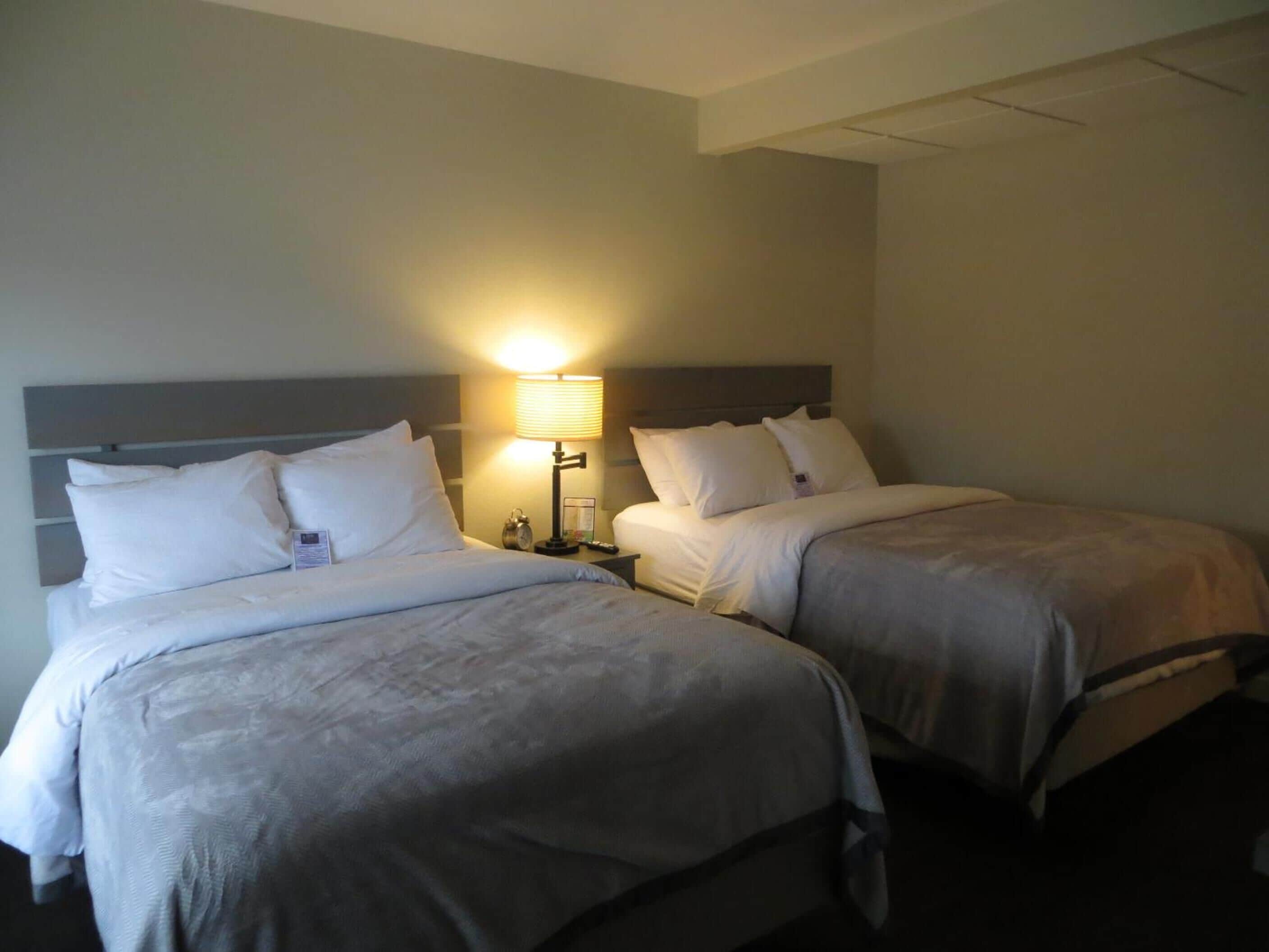 A hotel room with two single beds, a nightstand with a lamp, and a wall-mounted clock.