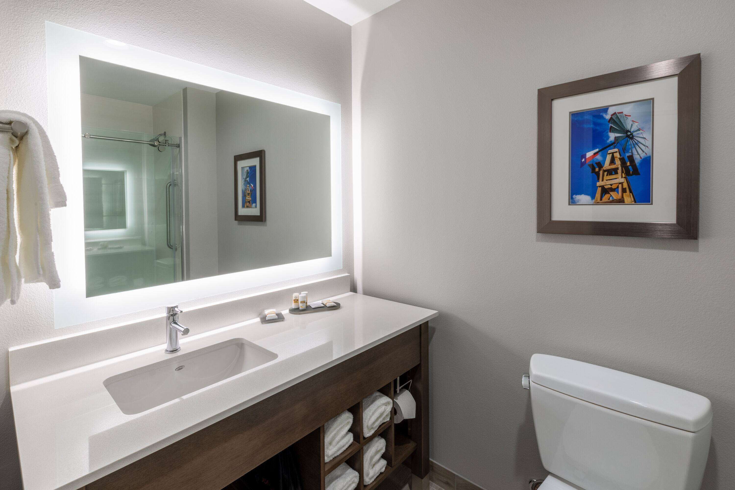 Een badkamer met een grote spiegel, een dubbele wastafel, een toilet en een lijst met een afbeelding aan de muur.