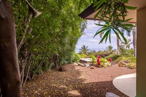 A garden with a variety of plants and a view of the ocean.