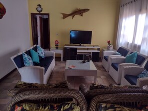 TV, table tennis