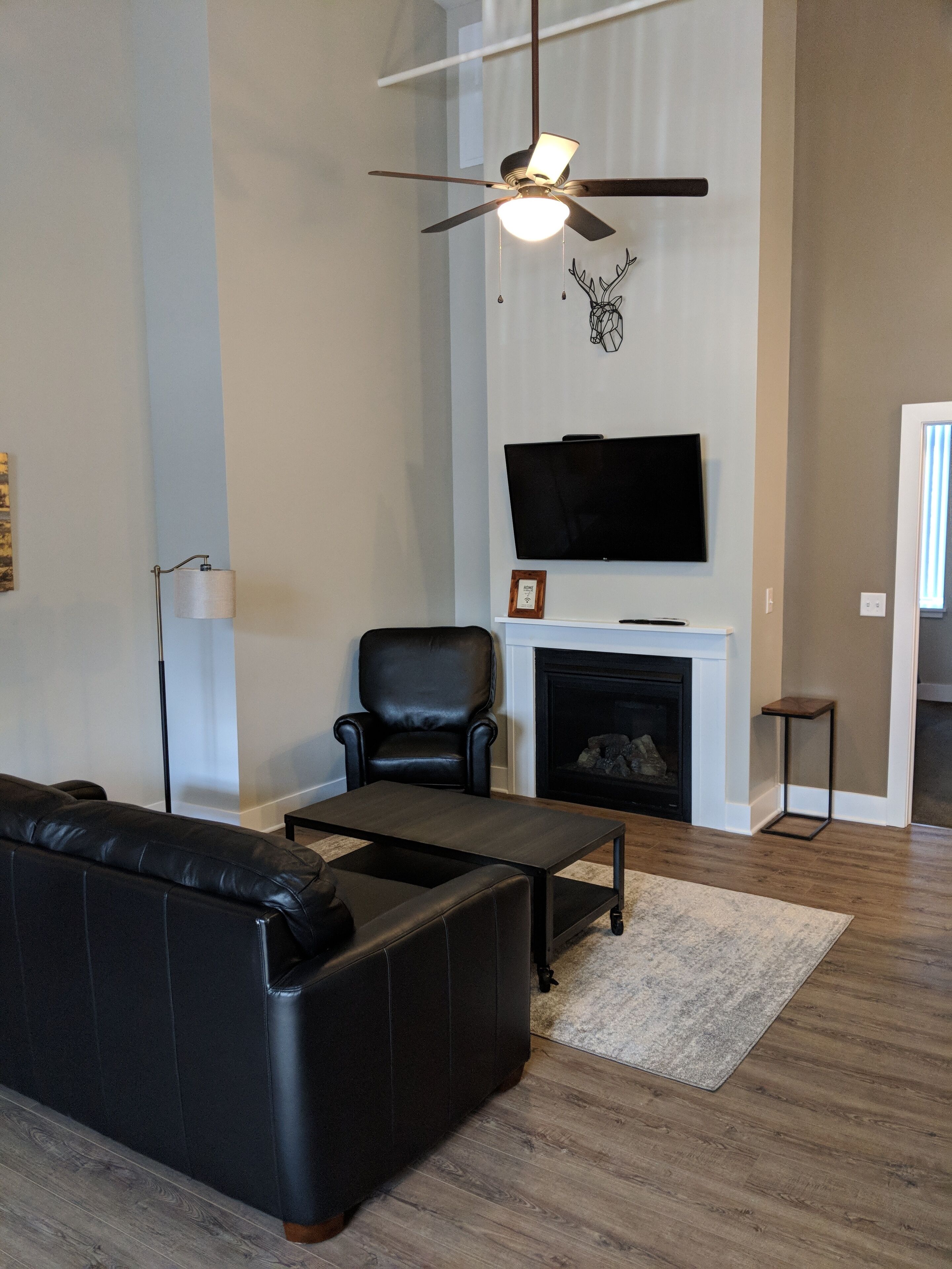 TV, fireplace