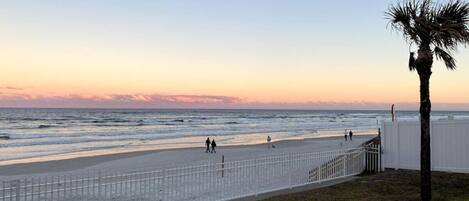 A beach with a white fence, a palm tree, and people walking along the shore.