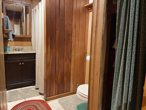 Shower, hair dryer, toilet paper