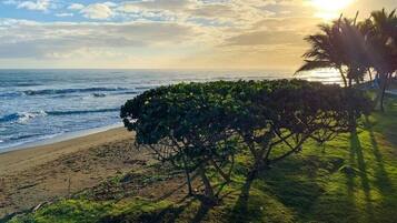 En la playa, camastros y toallas de playa