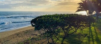 Ocean view luxury condo only steps from the beach