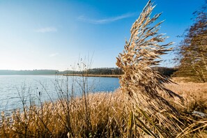 Image sans description, 3 de 38, bouton