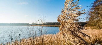 Climatic health resort - 5* vacation home - fireplace, sauna, lake, 110m² - Ferienhaus Am Wall