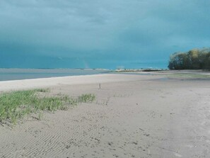 Nära stranden