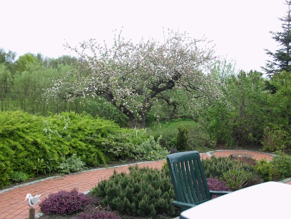 Blick von der Terrasse