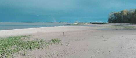 Tæt på stranden