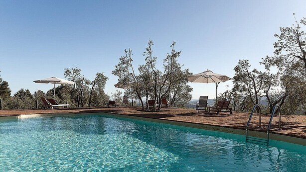 A swimming pool with clear water, surrounded by lounge chairs and umbrellas, and trees in the background.