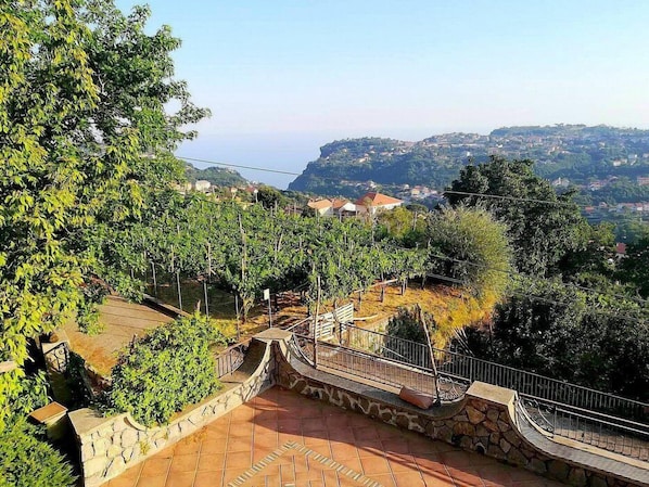 Overnatningsstedets område