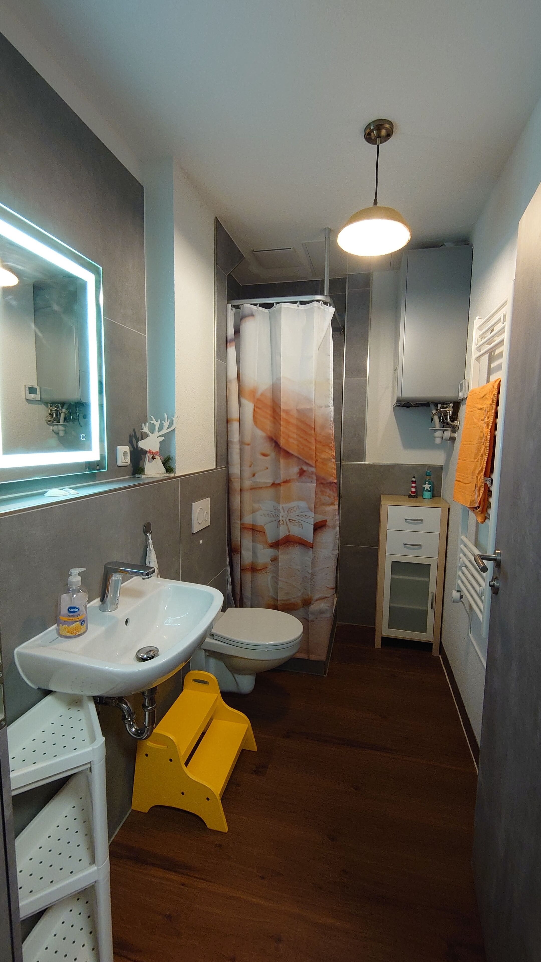 Dusche, Haartrockner, Seife, Toilettenpapier
