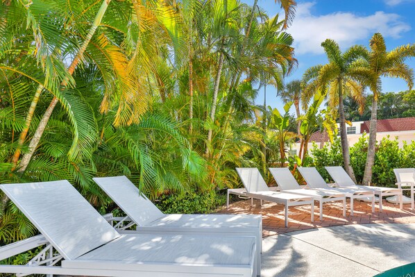 Terrace/patio - Freshly Remodeled Island Suite w/ Pool & Pet Friendly (Anna Maria)