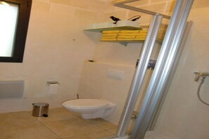 Hair dryer, towels, soap, toilet paper - VILLA AMICORUM House EAST, pool 10 x 4 m  (San Pietro in Bevagna)
