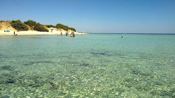 A beach with clear shallow water, sandy shore, and some vegetation on the dunes. - VILLA AMICORUM House EAST, pool 10 x 4 m  (San Pietro in Bevagna)