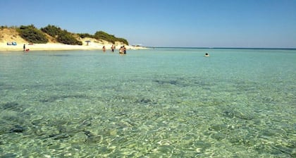 VILLA AMICORUM House EAST, pool 10 x 4 m