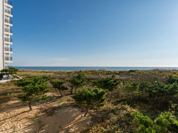 Une vue sur la côte, avec une plage de sable, une végétation clairsemée et un grand immeuble en arrière-plan.