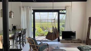 TV, fireplace, books, video library