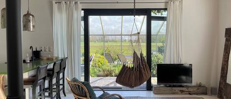 TV, fireplace, books, video library