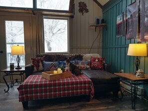Smart TV, fireplace, DVD player, books