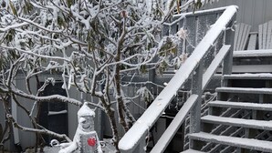 A snow-covered staircase leading to a building with a stone chimney. - Welcome to the stunning Bergbewohner ski chalet! (Beech Mountain)
