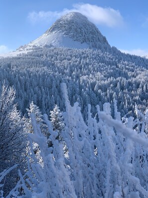 Sneeuw- en skisporten