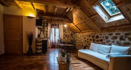 Duplex "Loire-Gerbier-Mézenc"