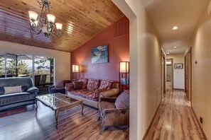 TV, fireplace, video games, DVD player