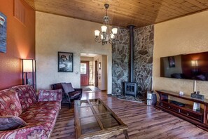 TV, fireplace, video games, DVD player