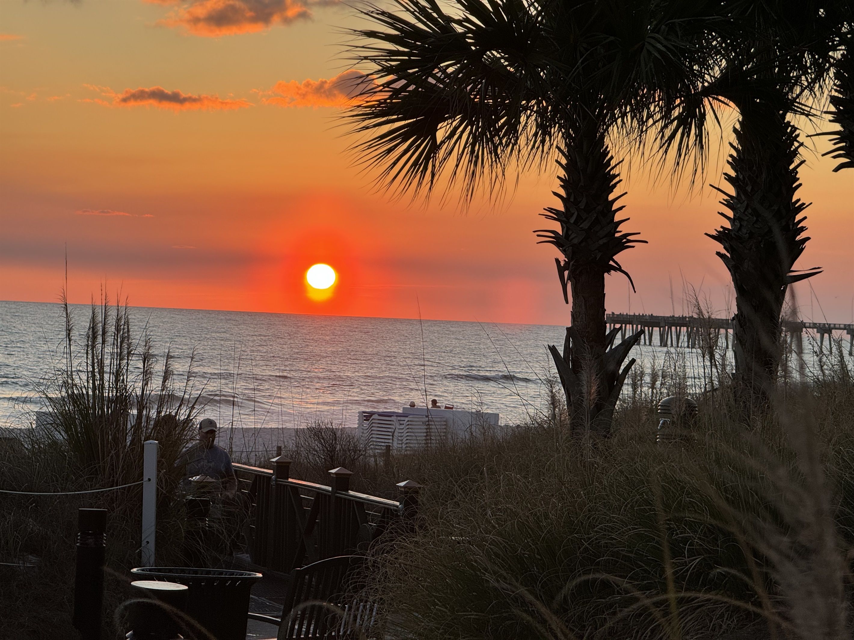 Une vue sur le coucher de soleil, avec des palmiers et une jetée.