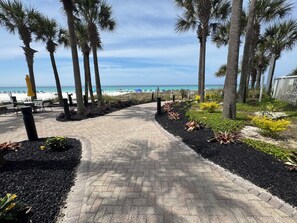 A paved pathway lined with palm trees and plants, leading to a beach with umbrellas and chairs. - Grand Panama Resort Condo (Panama City Beach)