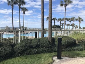A fenced pool area with palm trees and a clear sky. - Grand Panama Resort Condo (Panama City Beach)