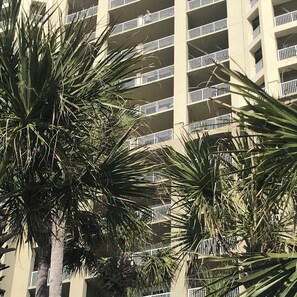 Detalle exterior