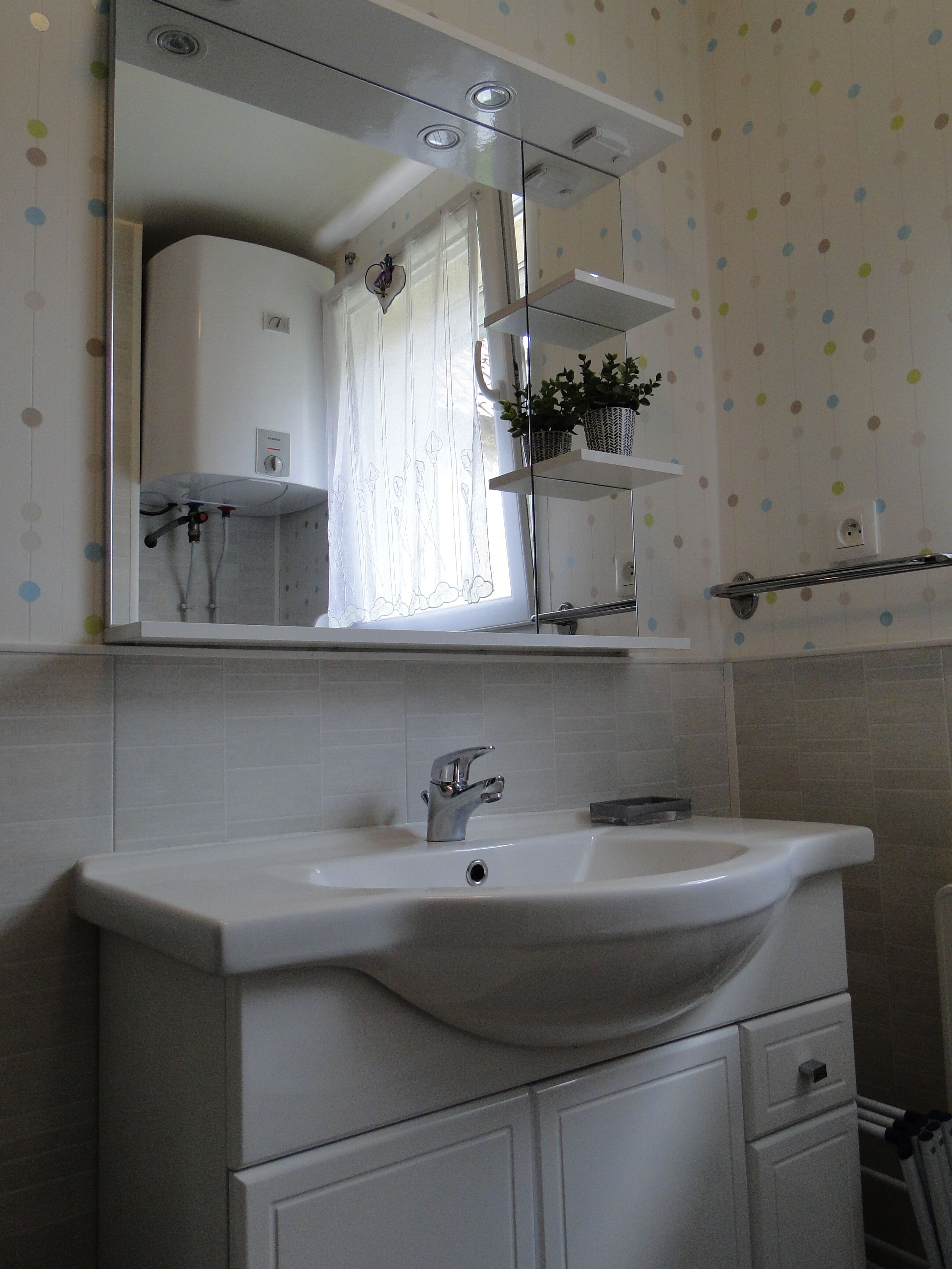Une salle de bain avec un lavabo blanc, un miroir et une douche. Il y a une fenêtre avec un rideau et une plante sur l’étagère au-dessus du miroir.