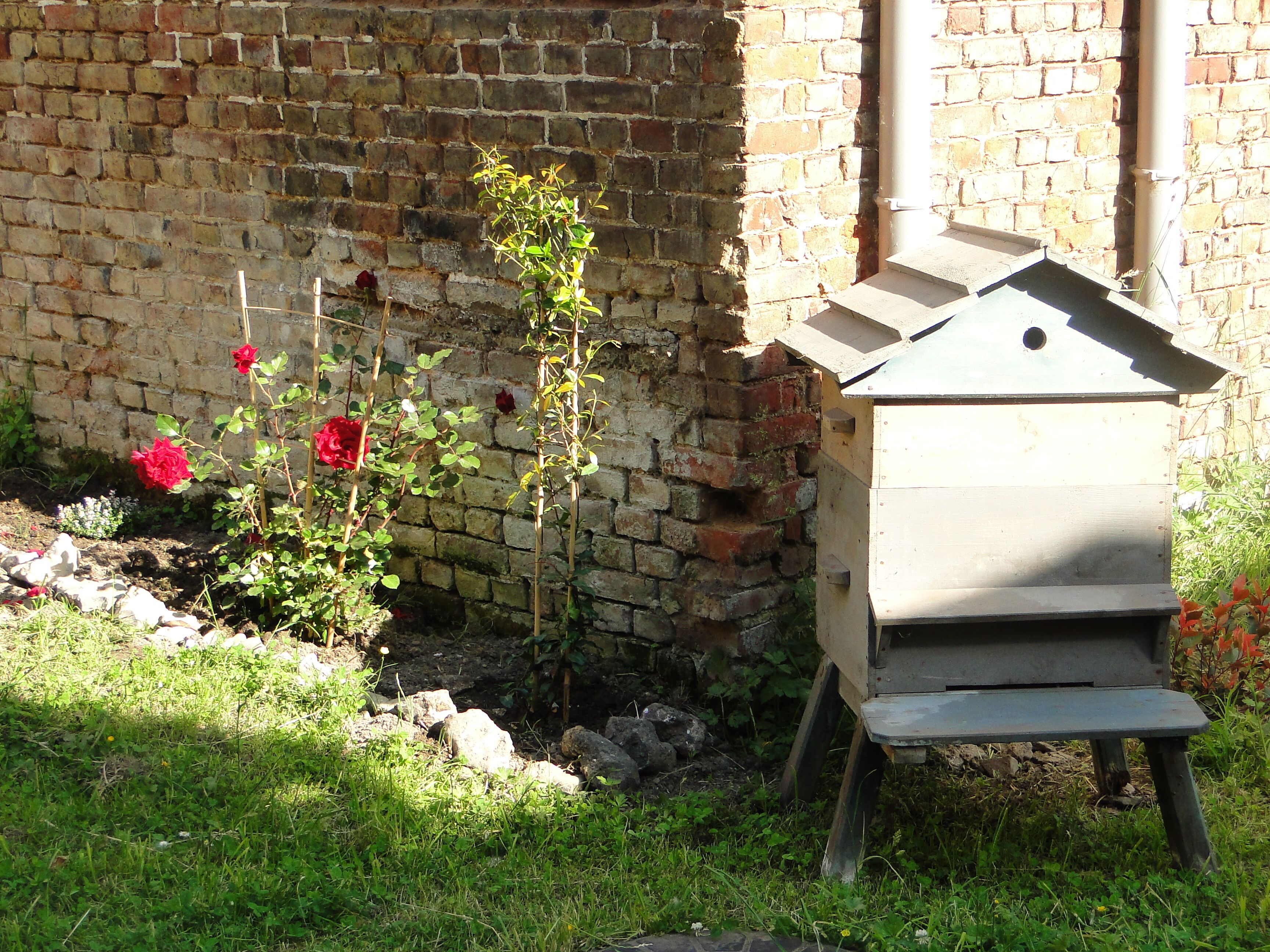 A beehive in a garden with a brick wall and a rose bush.