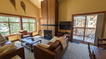 Smart TV, fireplace, books, music library