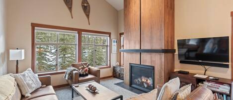 Smart TV, fireplace, books, music library