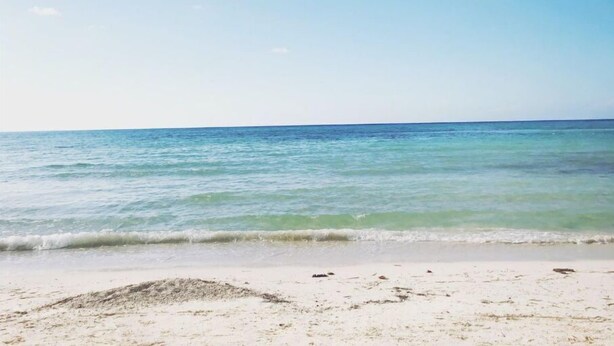 En strand med kristallklart blått vatten och en sandstrand.