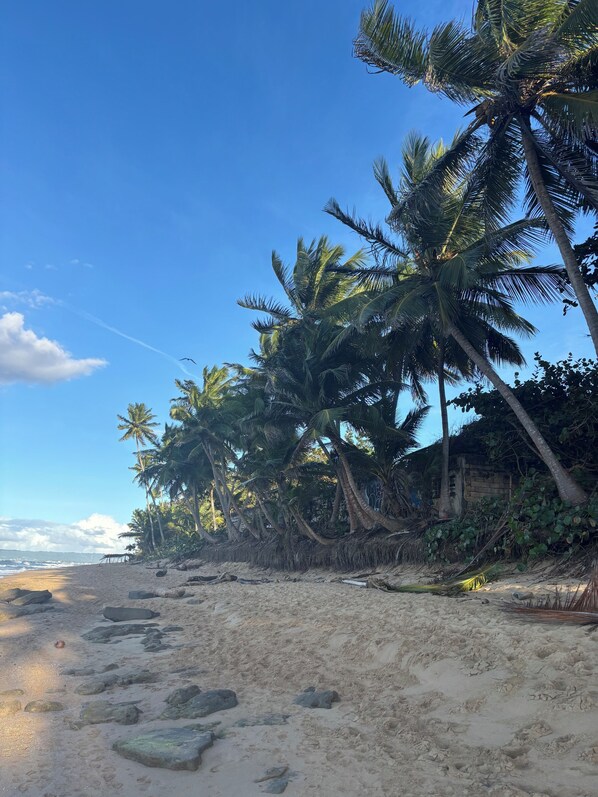 Beach nearby, sun loungers, beach towels