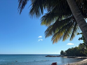 A beach with clear blue water, palm trees, and a rocky outcrop. - 3/BR Penthouse with huge rooftop terrace steps from Sandy Beach in Puntas Rincon (Rincon)