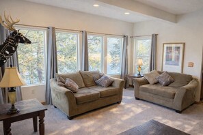 TV, fireplace, offices