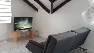 Televisio, stereot