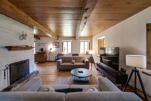 Living area - The Ricard House - 4 bedrooms for 12 people (Saint-Ferréol-les-Neiges)