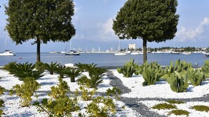 Paesaggio costiero con due alberi imponenti, un porto turistico con barche e un cielo sereno.