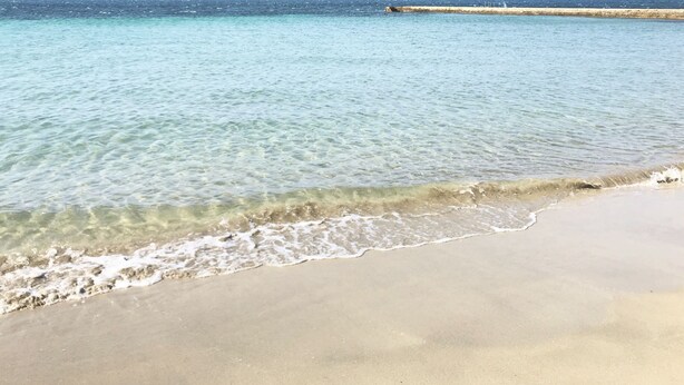 Una spiaggia con acque limpide, una riva sabbiosa e un molo frangiflutti in lontananza.